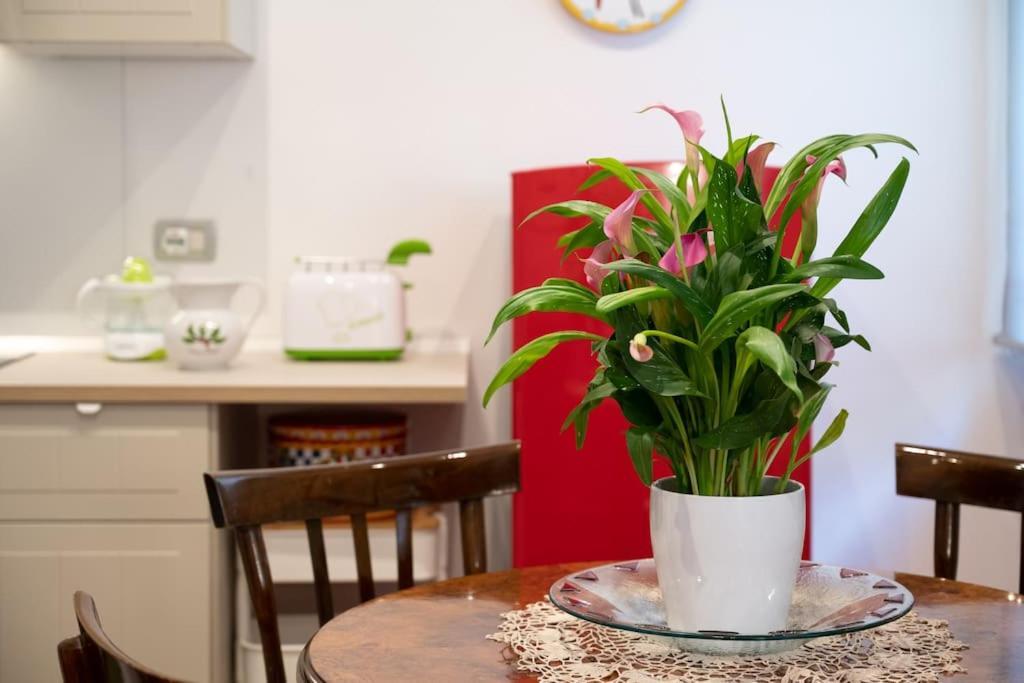 Casa Bouganville - St. Peter Romantic Apartment מראה חיצוני תמונה